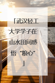 武汉轻工大学学子在山水田间感悟“粮心”