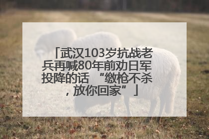 武汉103岁抗战老兵再喊80年前劝日军投降的话 “缴枪不杀，放你回家”