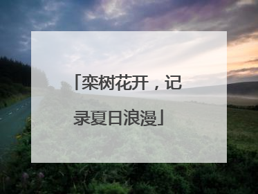 栾树花开，记录夏日浪漫