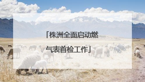 株洲全面启动燃气表首检工作
