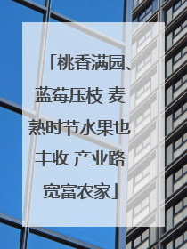 桃香满园、蓝莓压枝 麦熟时节水果也丰收 产业路宽富农家