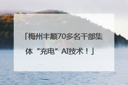 梅州丰顺70多名干部集体“充电”AI技术！