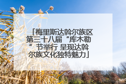 梅里斯达斡尔族区第三十八届“库木勒”节举行 呈现达斡尔族文化独特魅力