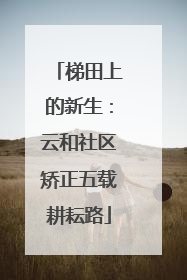 梯田上的新生：云和社区矫正五载耕耘路
