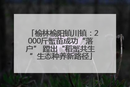 榆林榆阳镇川镇：2000斤蟹苗成功“落户” 蹚出“稻蟹共生”生态种养新路径