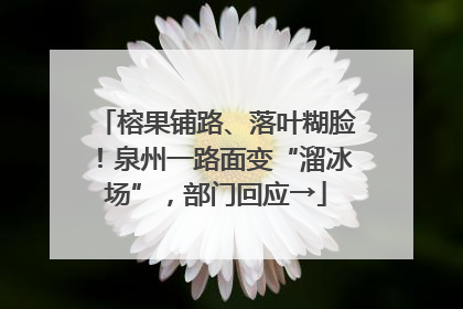 榕果铺路、落叶糊脸！泉州一路面变“溜冰场”，部门回应→