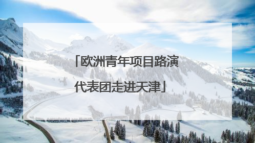 欧洲青年项目路演代表团走进天津