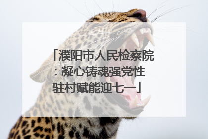 濮阳市人民检察院：凝心铸魂强党性 驻村赋能迎七一