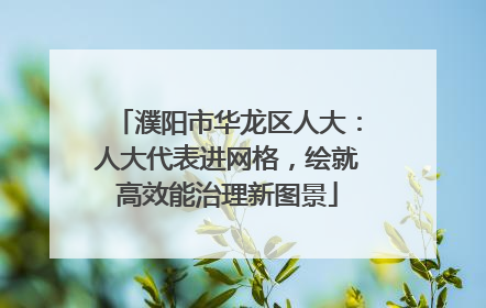 濮阳市华龙区人大：人大代表进网格，绘就高效能治理新图景