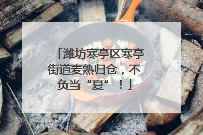 潍坊寒亭区寒亭街道麦熟归仓，不负当“夏”！