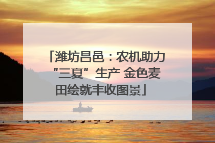 潍坊昌邑：农机助力“三夏”生产 金色麦田绘就丰收图景