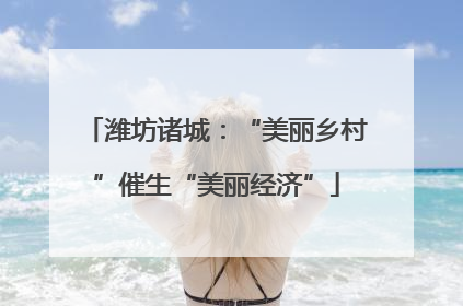 潍坊诸城：“美丽乡村”催生“美丽经济”