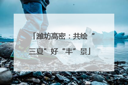 潍坊高密：共绘“三夏”好“丰”景
