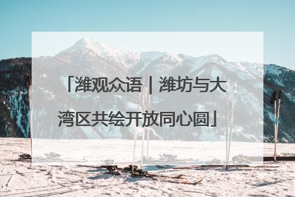 潍观众语｜潍坊与大湾区共绘开放同心圆