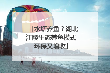 水塘养鱼？湖北江陵生态养鱼模式环保又增收