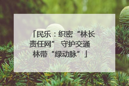 民乐：织密“林长责任网” 守护交通林带“绿动脉”