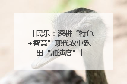 民乐：深耕“特色+智慧”现代农业跑出“加速度”