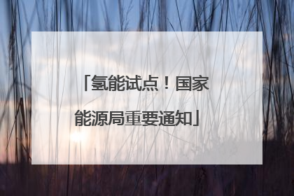 氢能试点！国家能源局重要通知