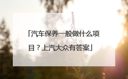 汽车保养一般做什么项目？上汽大众有答案