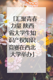 汇聚青春力量 陕西省大学生知识产权知识竞赛在西北大学举办