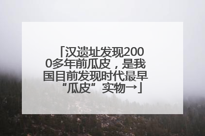 汉遗址发现2000多年前瓜皮，是我国目前发现时代最早“瓜皮”实物→