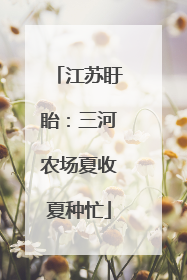 江苏盱眙：三河农场夏收夏种忙