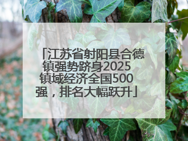 江苏省射阳县合德镇强势跻身2025镇域经济全国500强，排名大幅跃升