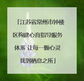 江苏省常州市钟楼区构建心育指导服务体系 让每一颗心灵找到栖息之所