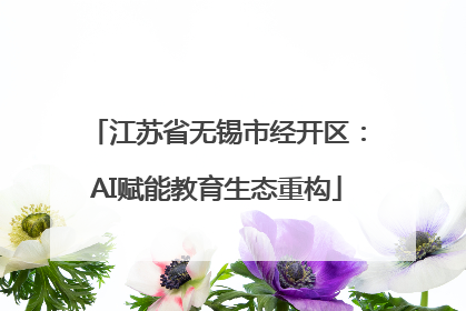 江苏省无锡市经开区：AI赋能教育生态重构