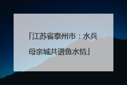 江苏省泰州市：水兵母亲城共谱鱼水情