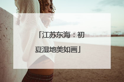 江苏东海：初夏湿地美如画