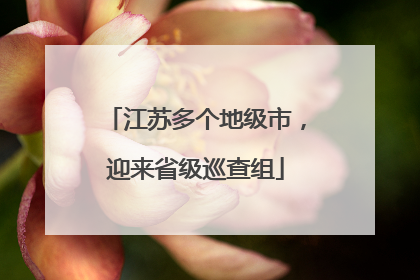 江苏多个地级市，迎来省级巡查组