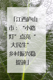 江西庐山市：“小路灯”点亮“大民生” 乡村振兴稳提速