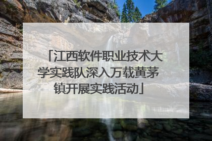 江西软件职业技术大学实践队深入万载黄茅镇开展实践活动