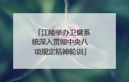 江陵举办卫健系统深入贯彻中央八项规定精神轮训