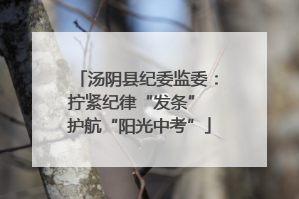汤阴县纪委监委：拧紧纪律“发条” 护航“阳光中考”