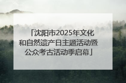 沈阳市2025年文化和自然遗产日主题活动暨公众考古活动季启幕