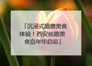 沉浸式盛唐美食体验！西安丝路美食嘉年华启幕