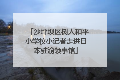 沙坪坝区树人和平小学校小记者走进日本驻渝领事馆