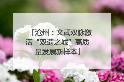 沧州：文武双脉激活“双遗之城”高质量发展新样本