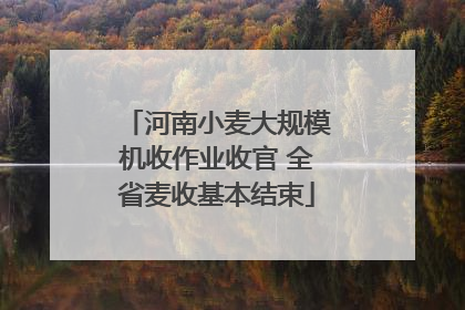 河南小麦大规模机收作业收官 全省麦收基本结束
