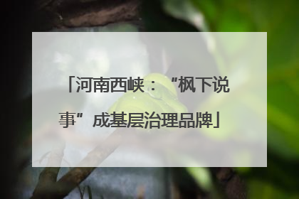 河南西峡：“枫下说事”成基层治理品牌