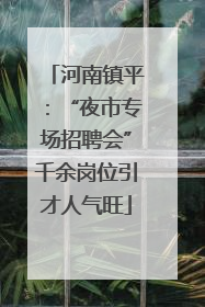 河南镇平：“夜市专场招聘会”千余岗位引才人气旺
