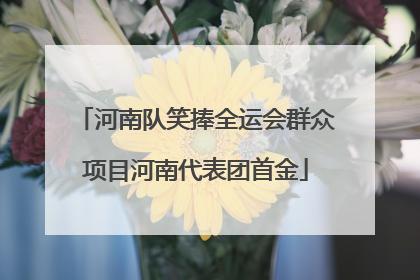 河南队笑捧全运会群众项目河南代表团首金