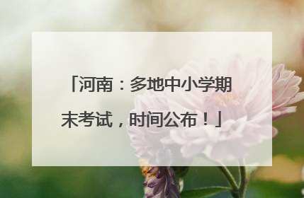 河南：多地中小学期末考试，时间公布！