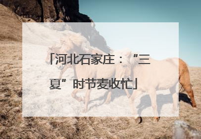 河北石家庄：“三夏”时节麦收忙