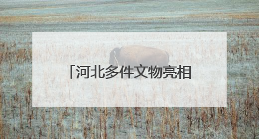 河北多件文物亮相“龙腾中国：红山文化古国文明特展”