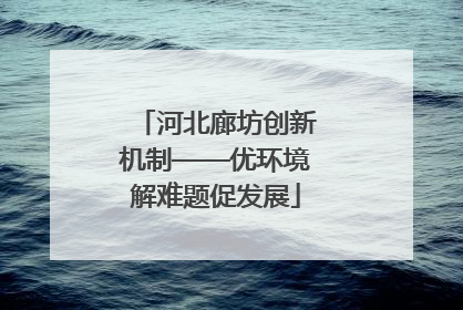 河北廊坊创新机制——优环境解难题促发展
