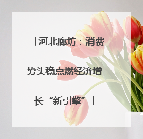 河北廊坊：消费势头稳点燃经济增长“新引擎”