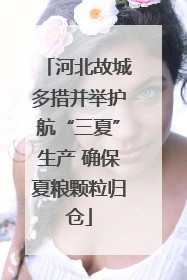 河北故城多措并举护航“三夏”生产 确保夏粮颗粒归仓